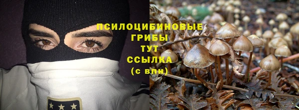 стафф Балахна