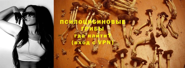 стафф Балахна