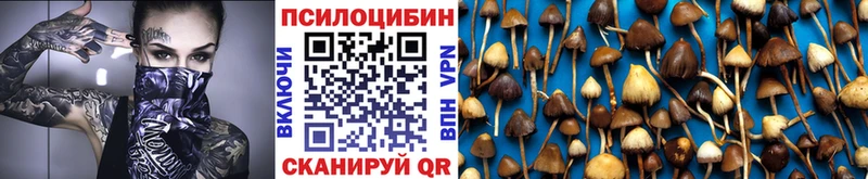 площадка клад  Бологое  Галлюциногенные грибы прущие грибы 
