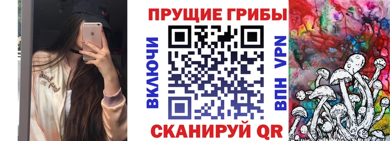 Псилоцибиновые грибы Psilocybine cubensis Бологое